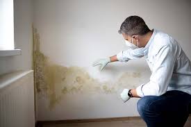 Why You Should Choose Our Mold Remediation Services in Little Falls, NY